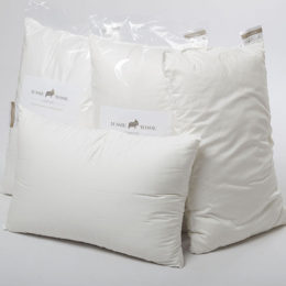 4-x-pillow-web