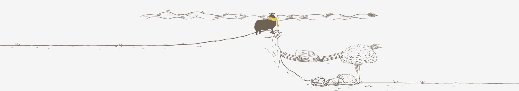 Aussie-Wool-Re-Design-04